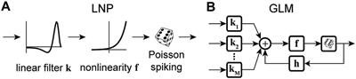 Time-varying generalized linear models: characterizing and decoding neuronal dynamics in higher visual areas